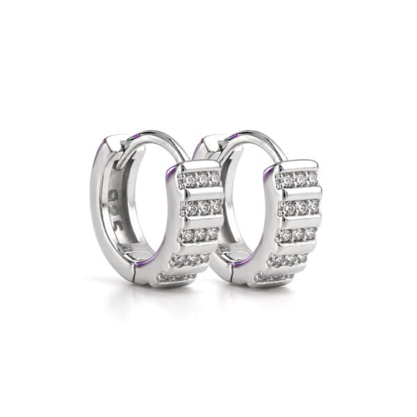 huggie hoop earrings